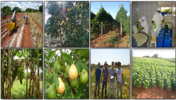 Imagens da Fazenda