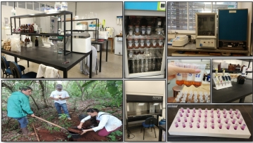 Imagens do Laboratório