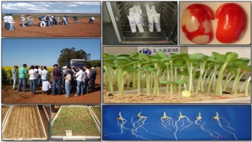Imagens do Laboratório