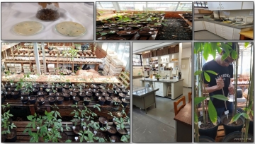 Imagens do Laboratório