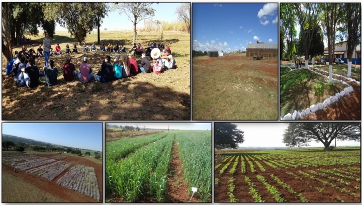Imagens da Fazenda