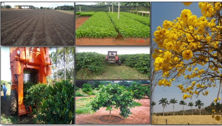 Imagens da Fazenda