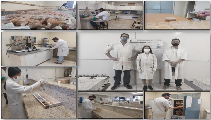 Imagens do Laboratório