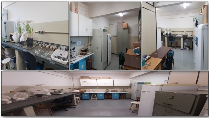 Imagens do Laboratório