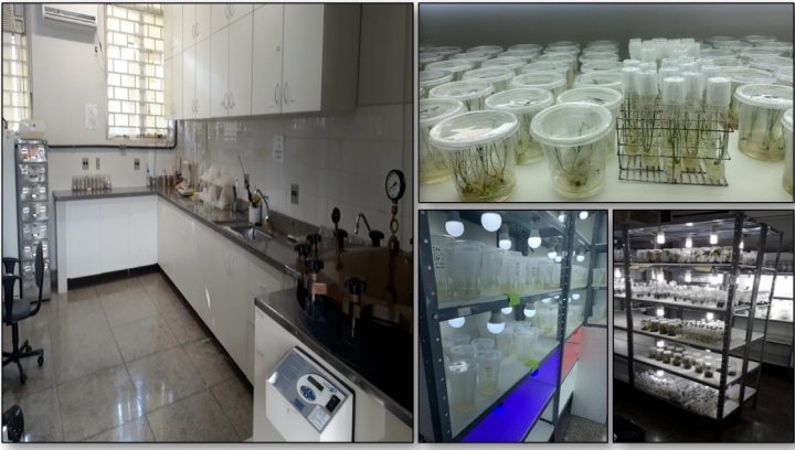 Imagens do Laboratório