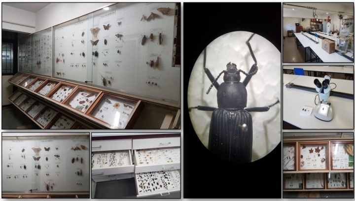 Imagens do Laboratório