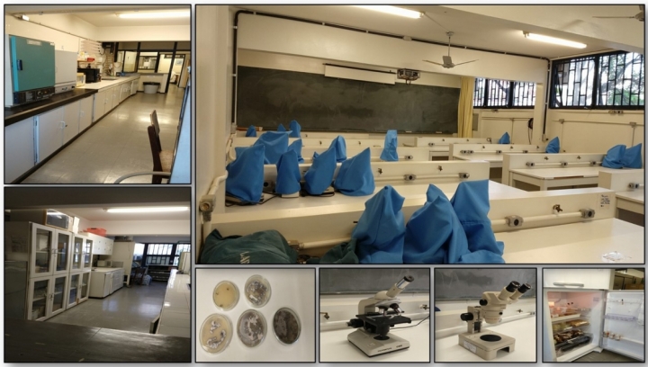 Imagens do Laboratório