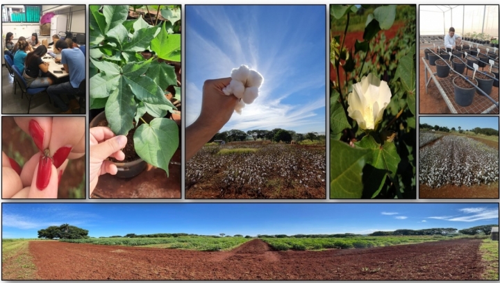Imagens do Laboratório