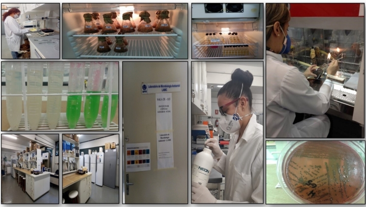 Imagens do Laboratório