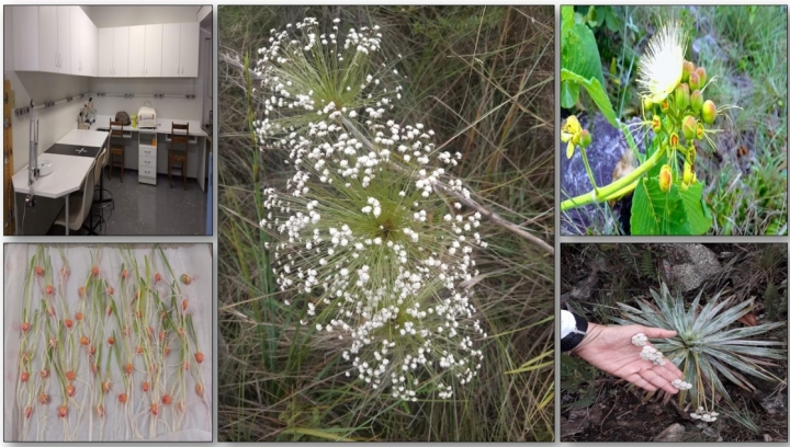 Imagens do Laboratório